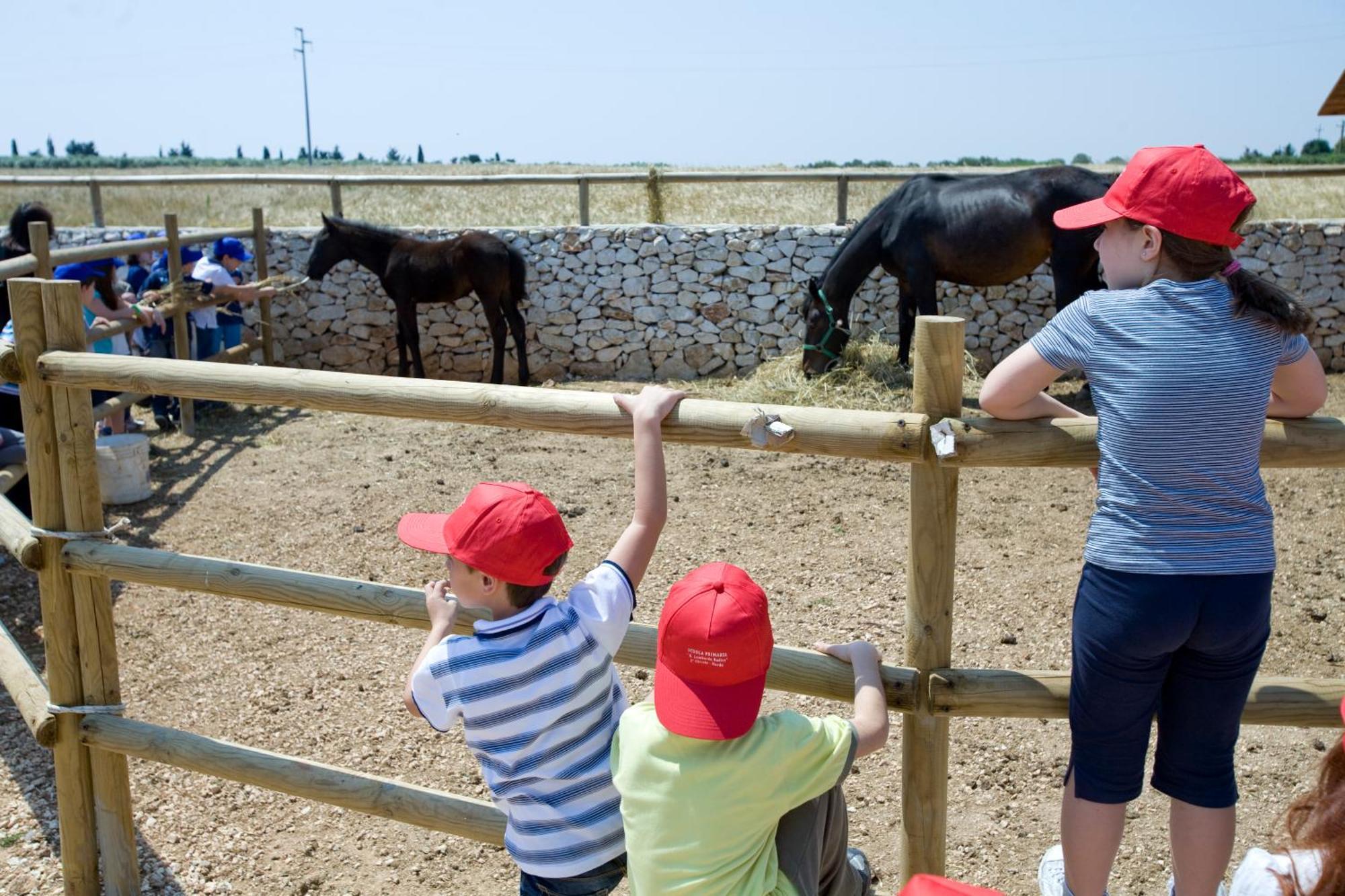 Agriturismo Scalelle Otranto Kültér fotó