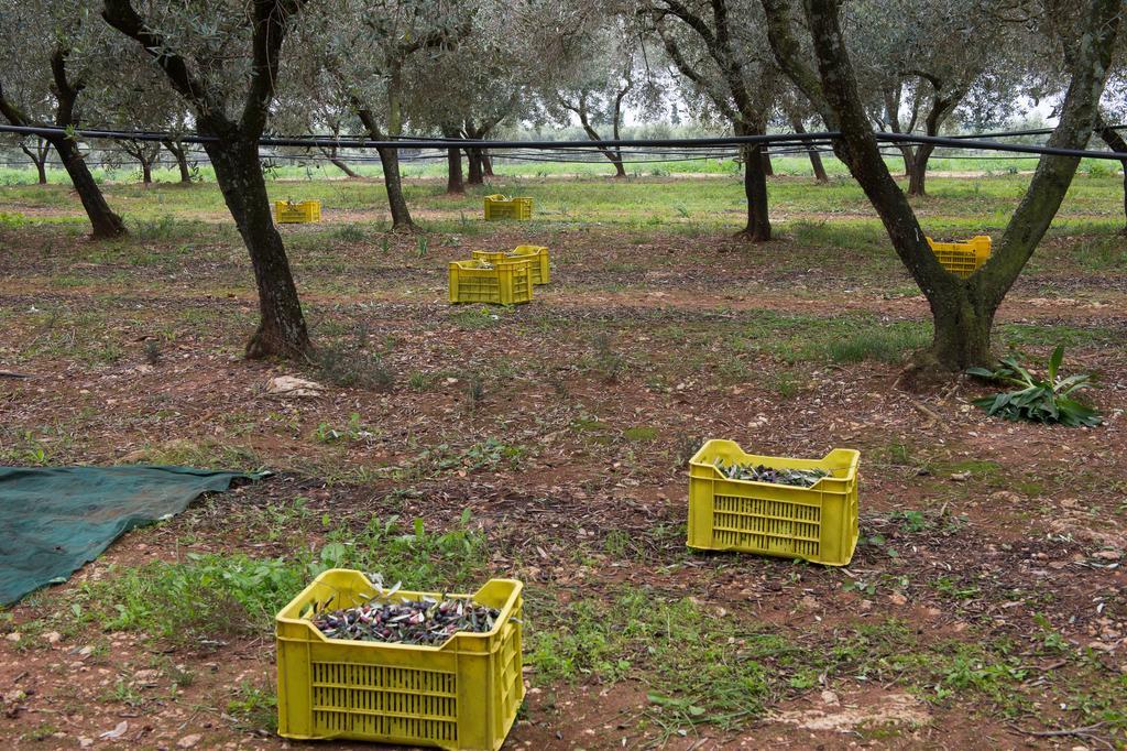 Agriturismo Scalelle Otranto Kültér fotó