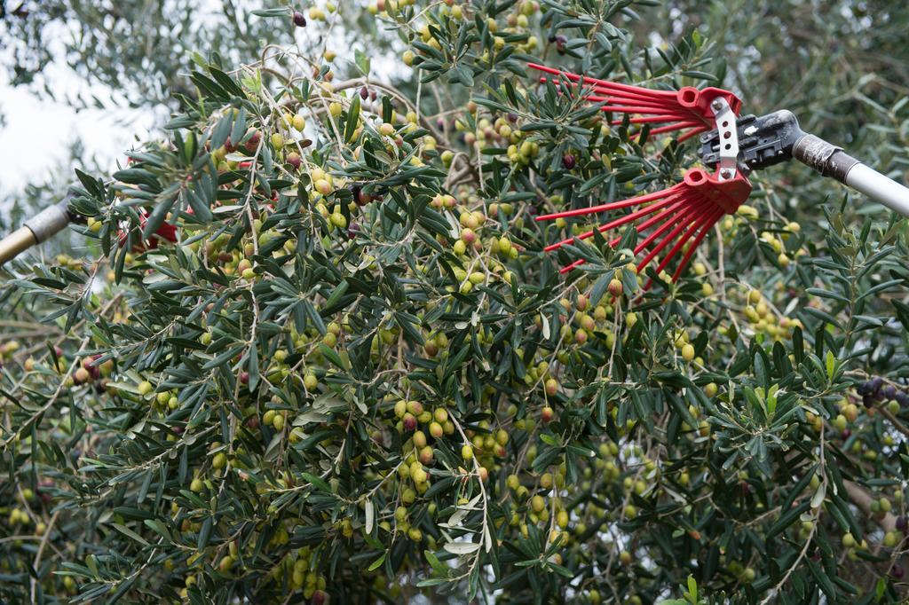 Agriturismo Scalelle Otranto Kültér fotó